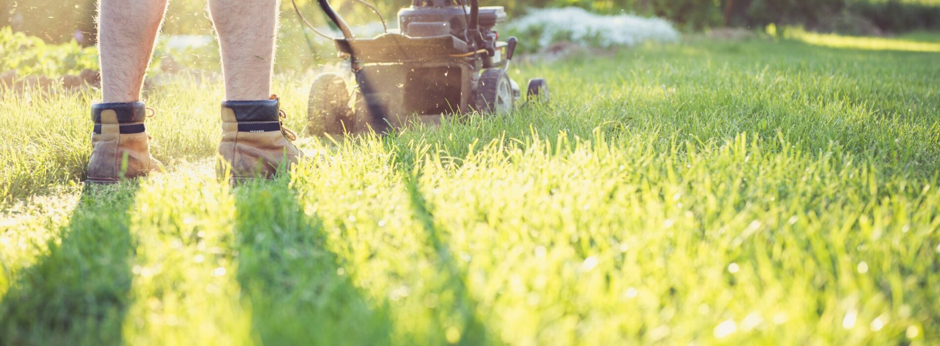 Pielęgnacja trawnika po zimie – Jak zadbać o swój trawnik po zimie?