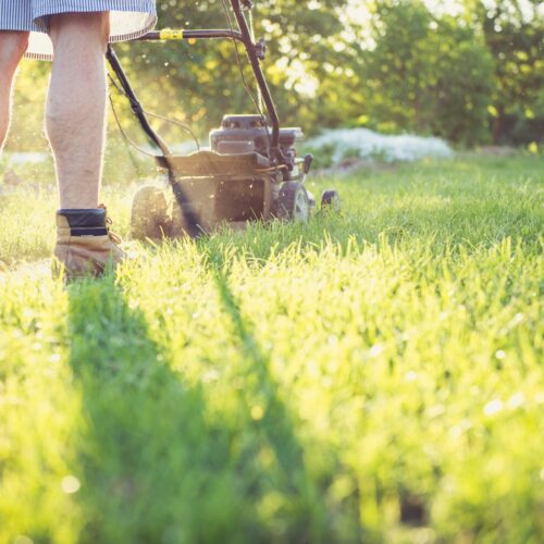 Pielęgnacja trawnika po zimie – Jak zadbać o swój trawnik po zimie?